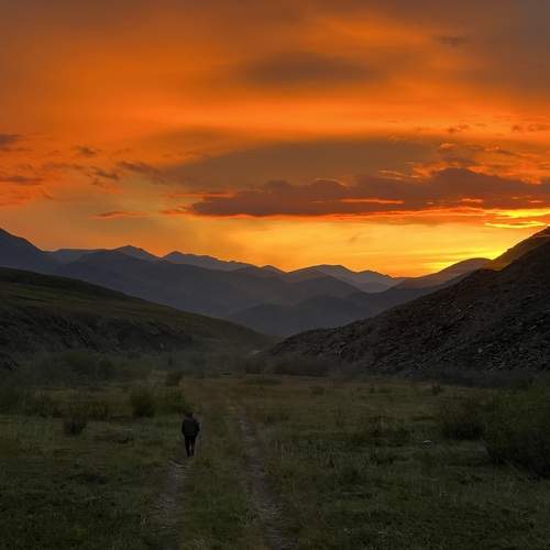Photo #13712052