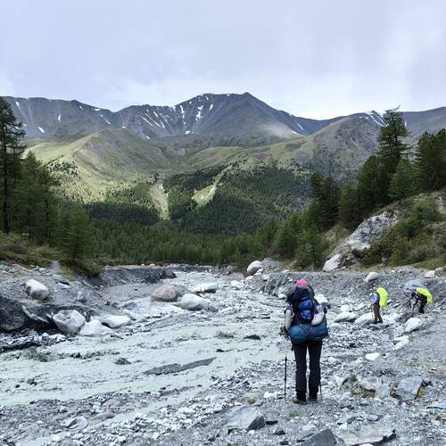 Photo #13712070