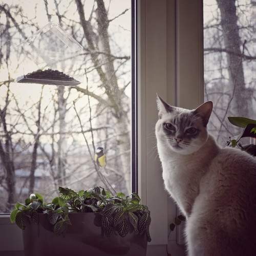 Photo #13712292