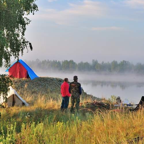 Photo #13712313