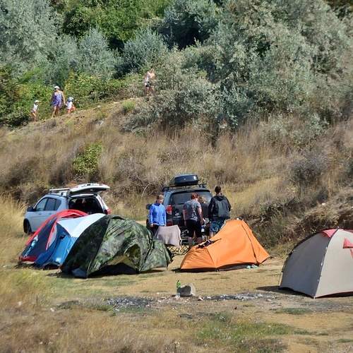 Photo #13712326