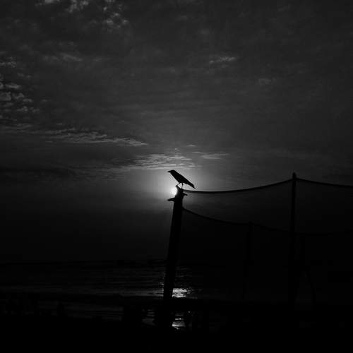 Photo #13712329