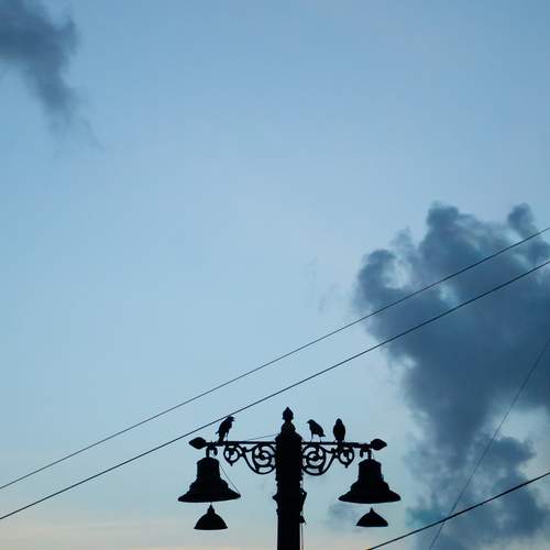 Photo #13712330