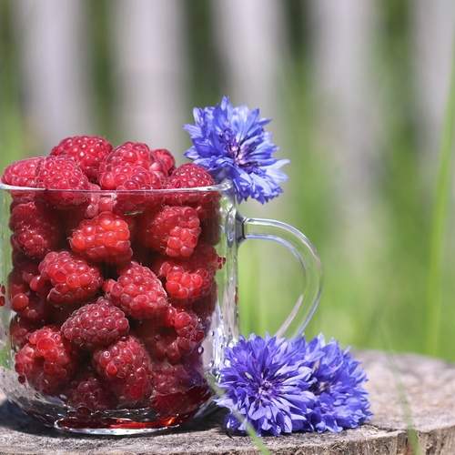 Photo #13712421