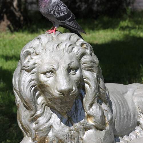 Photo #13712451