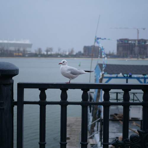 Photo #13712453