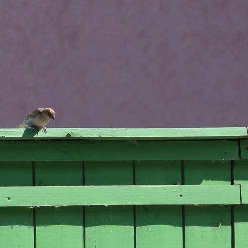 Photo #13712549
