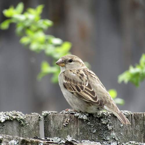 Photo #13712569