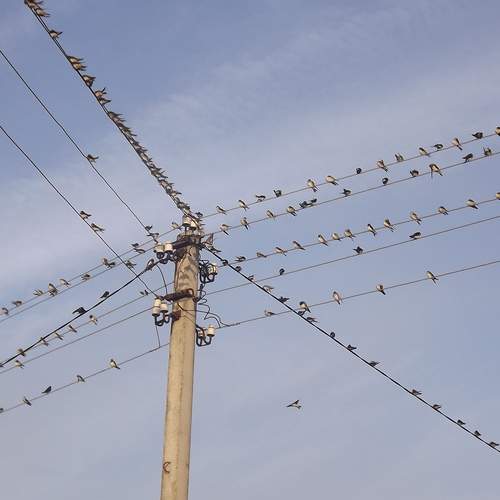 Photo #13712657