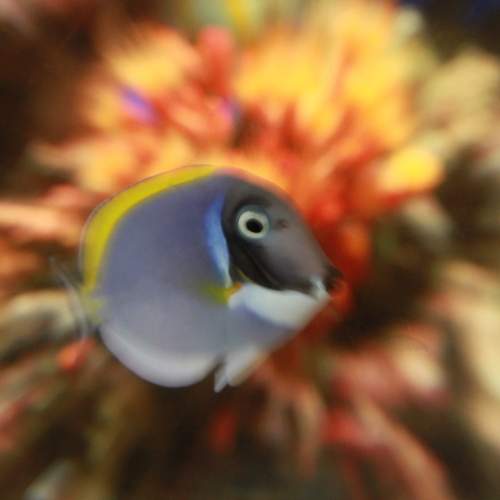 Photo #13712724