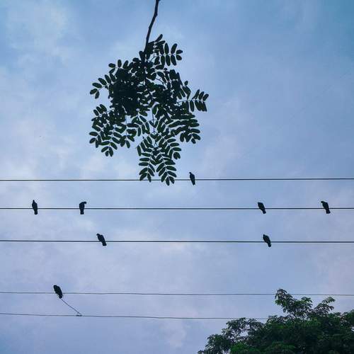 Photo #13712731