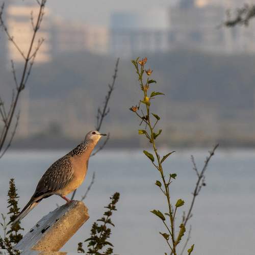 Photo #13712791