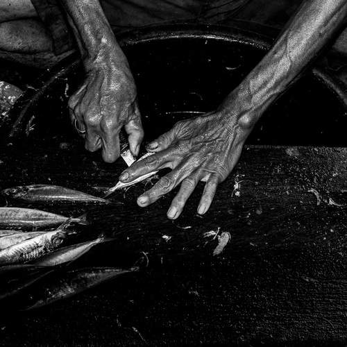 Photo #13712796