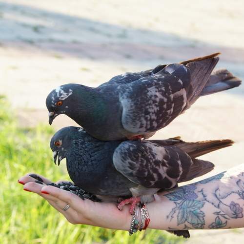Photo #13712871