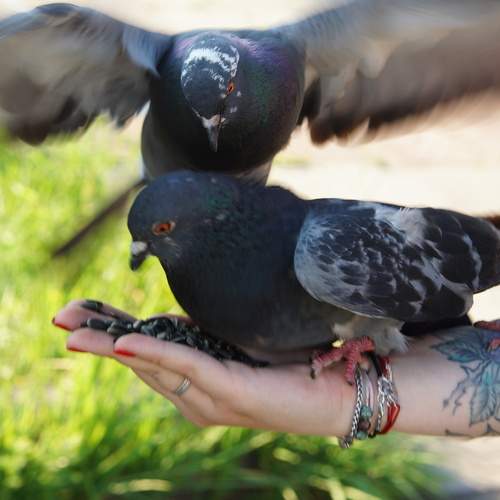 Photo #13712874