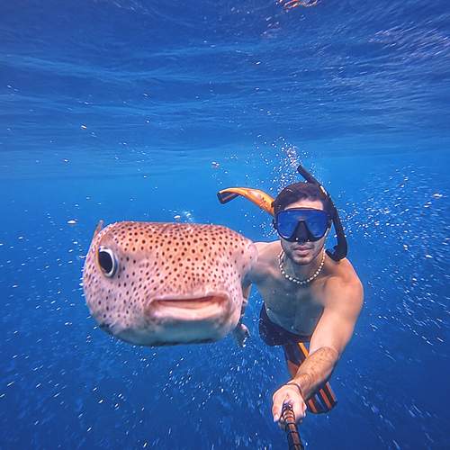 Photo #13712893