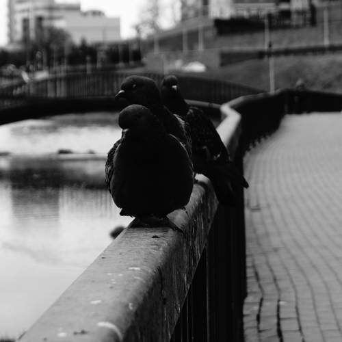 Photo #13712898