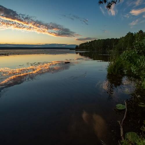 Photo #13712905
