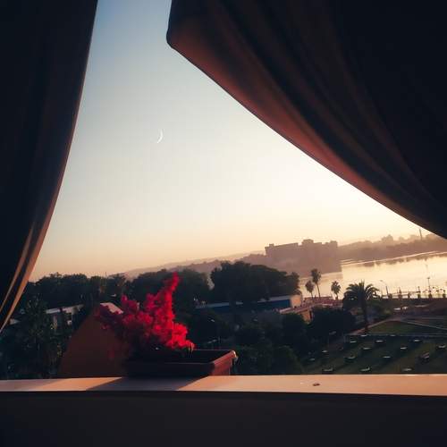 Photo #13712923
