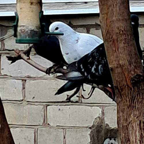 Photo #13712956