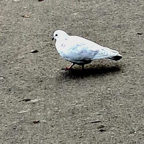 Photo #13712959