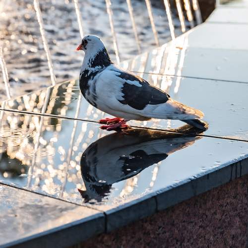 Photo #13712968