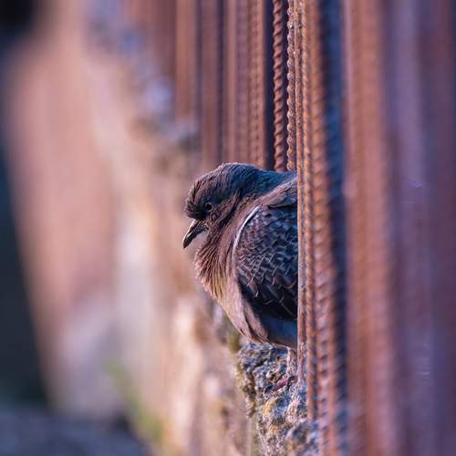 Photo #13712976
