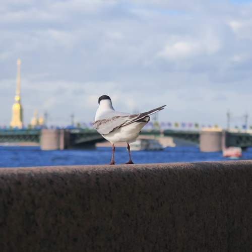 Photo #13712986