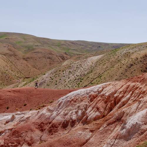 Photo #13713083