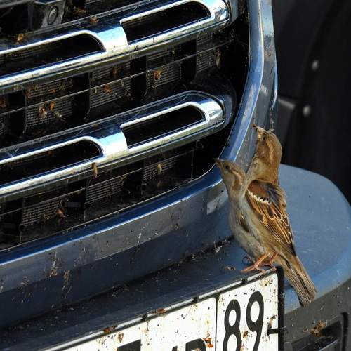 Photo #13713119
