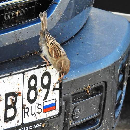 Photo #13713120