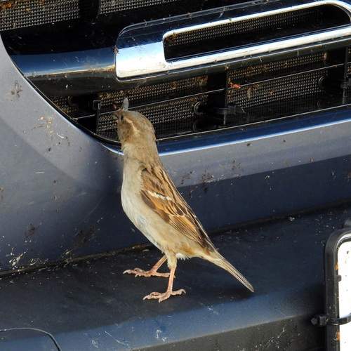 Photo #13713121