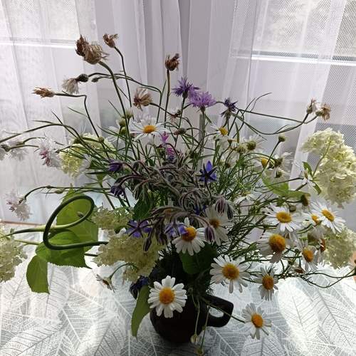 Photo #13713132