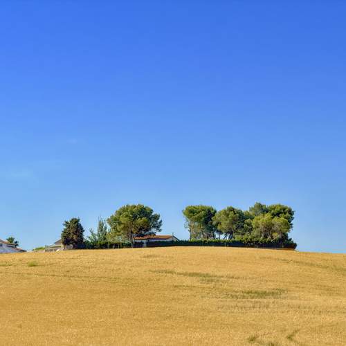 Photo #13713161