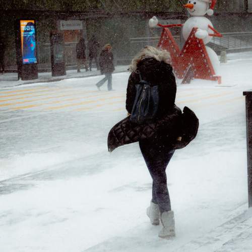 Photo #13713187