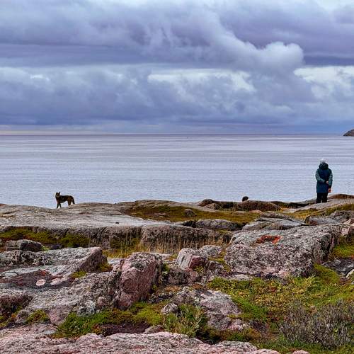Photo #13713200