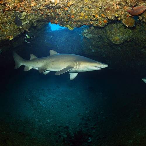Photo #13713208