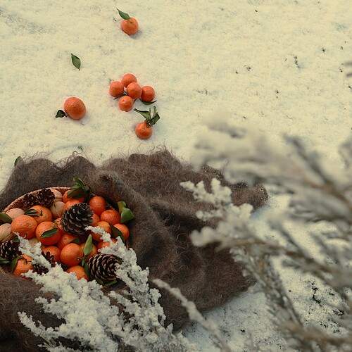 Photo #13713216
