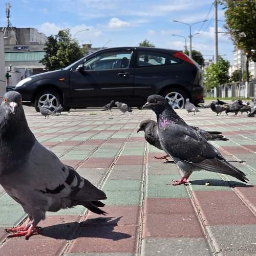 Photo #13713266