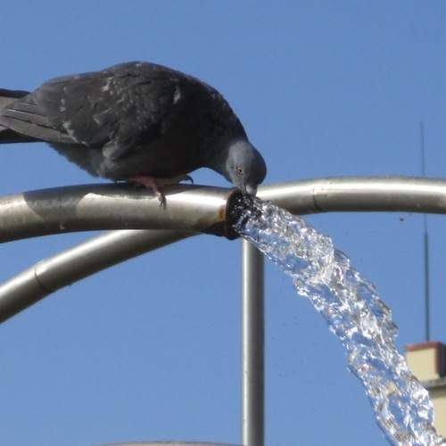 Photo #13713289