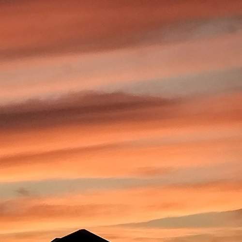 Photo #13713319