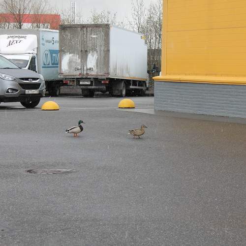 Photo #13713381