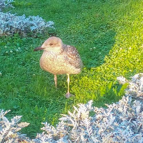 Photo #13713395