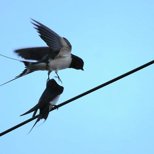 Photo #13713404