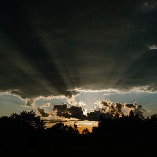 Photo #13713423