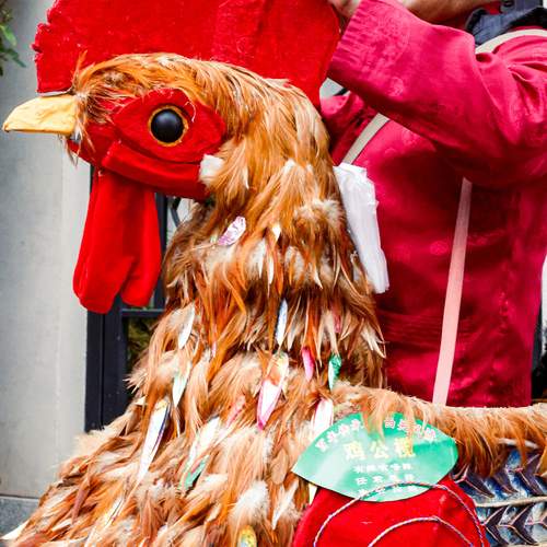 Photo #13713495