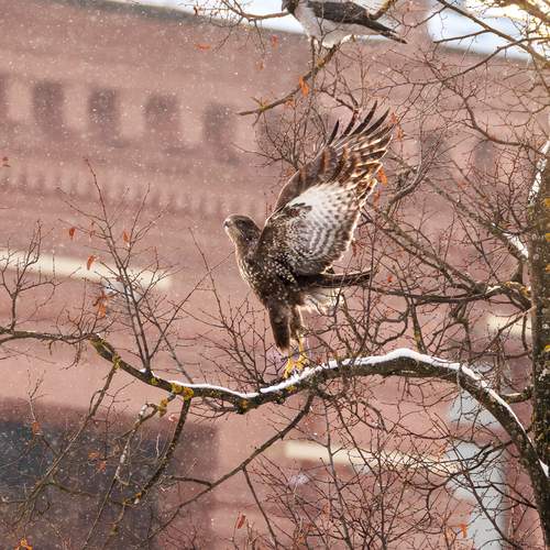 Photo #13713516