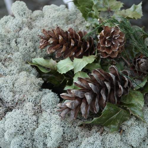 Photo #13713571