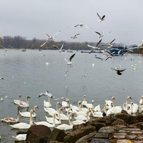 Photo #13713588
