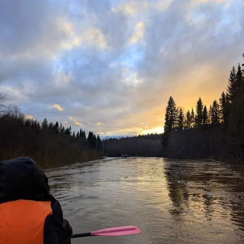 Photo #13713611